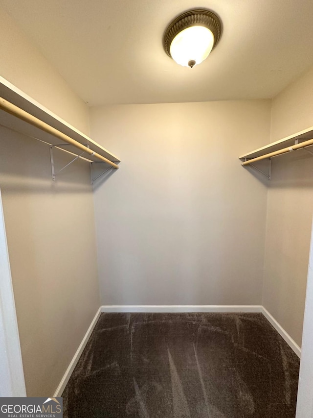 walk in closet featuring carpet flooring