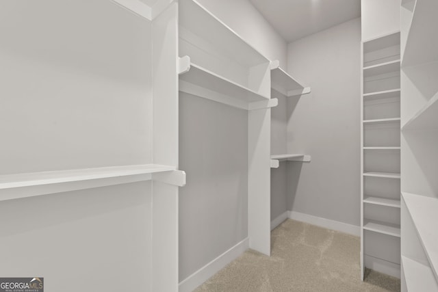 spacious closet with carpet floors