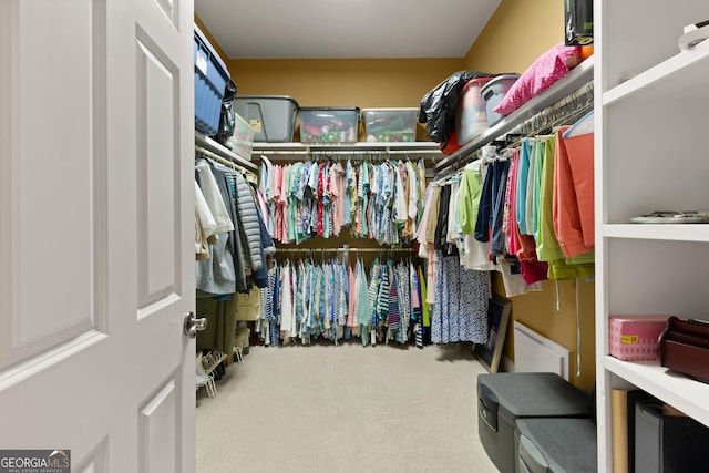 spacious closet featuring carpet flooring