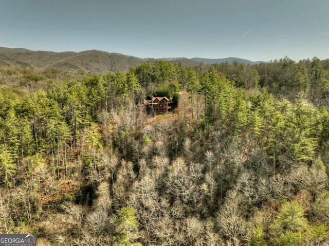 mountain view with a view of trees