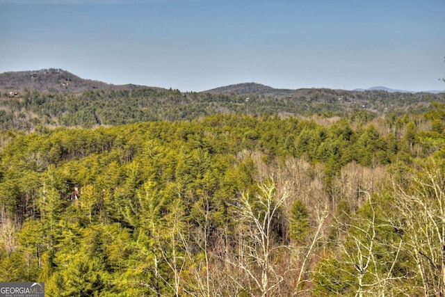 view of mountain feature with a forest view