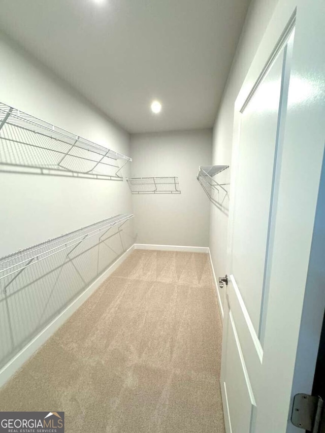 spacious closet featuring carpet flooring