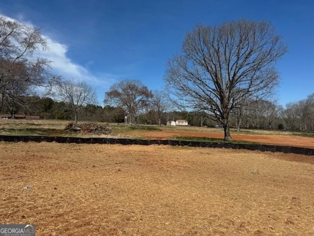 view of yard with a rural view