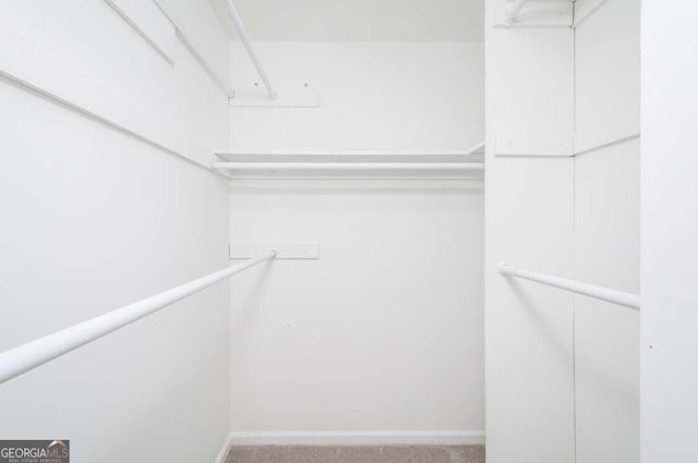 walk in closet featuring carpet flooring