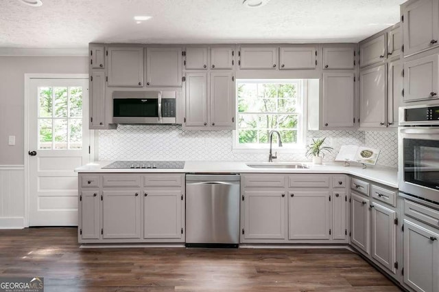 kitchen with dark wood-style floors, a sink, gray cabinetry, stainless steel appliances, and a textured ceiling