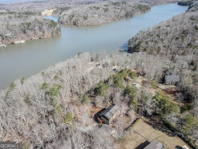 drone / aerial view with a water view and a view of trees