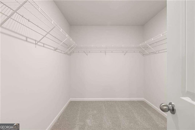 walk in closet with carpet floors