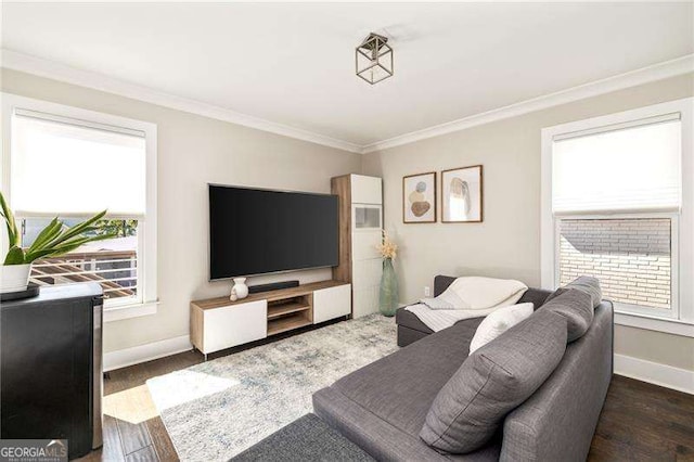 living area featuring baseboards, crown molding, and wood finished floors