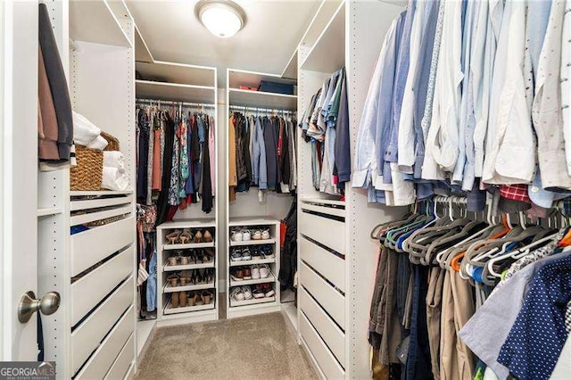 spacious closet featuring carpet floors