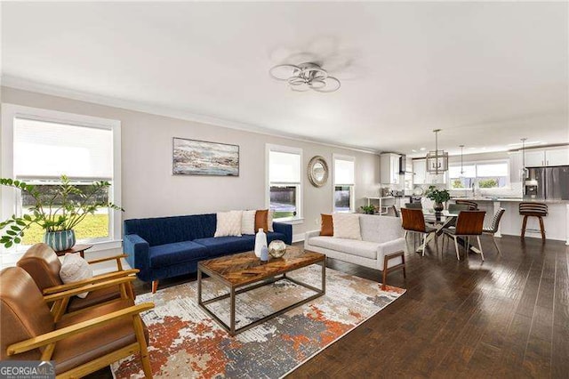 living room featuring dark wood-style flooring and crown molding