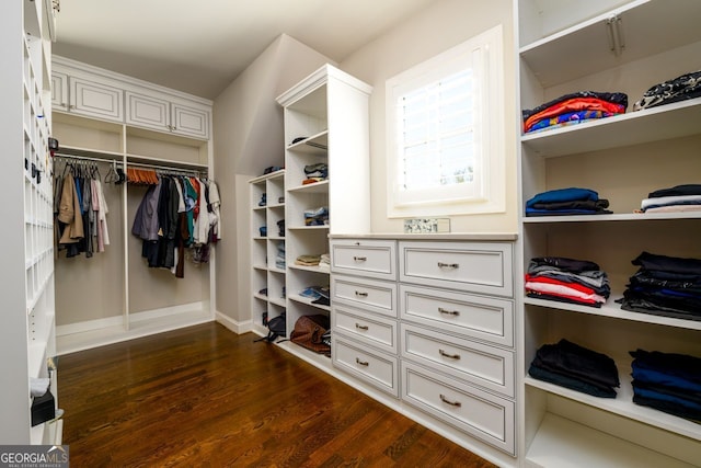 5230 Harris Springs Dr, Cumming, GA 30040 - walk in closet with dark wood-type flooring
