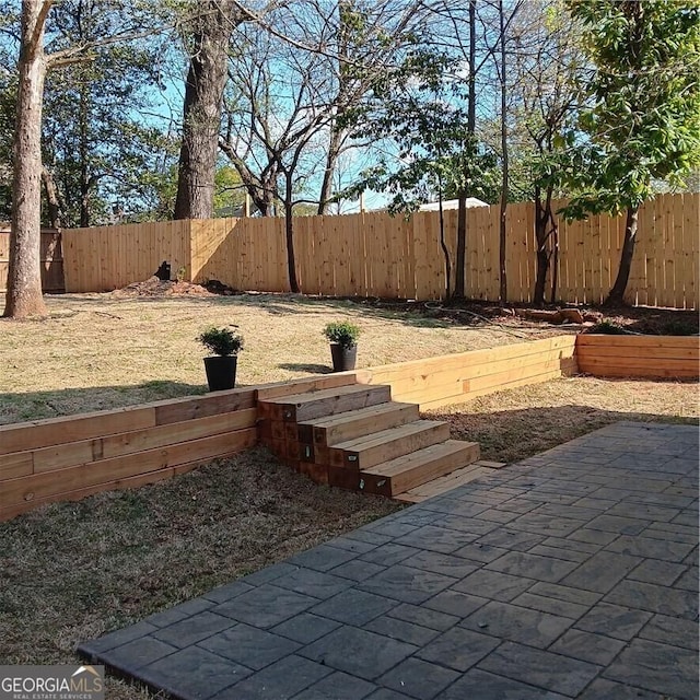 view of yard with a patio area and a fenced backyard
