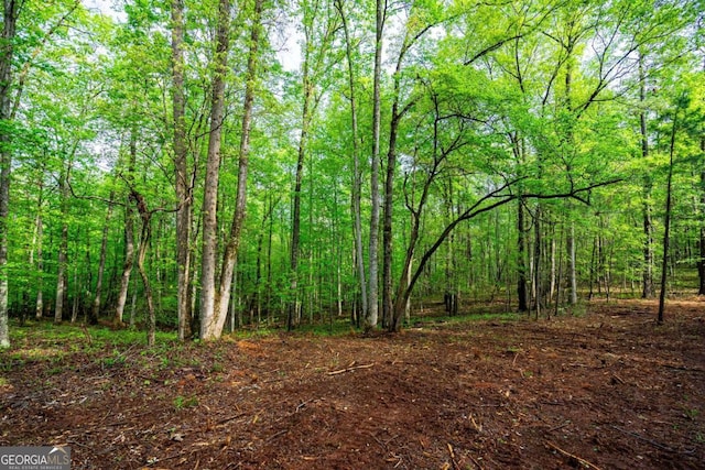 0 Cameron Mill Rd, Lagrange, GA 30240