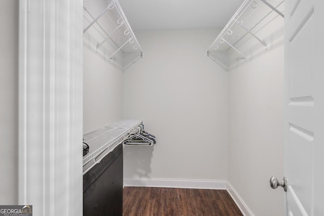 walk in closet with dark wood-style flooring