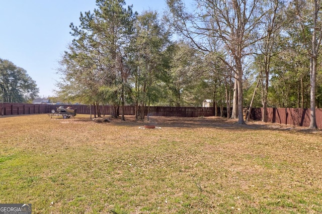 view of yard with a fenced backyard