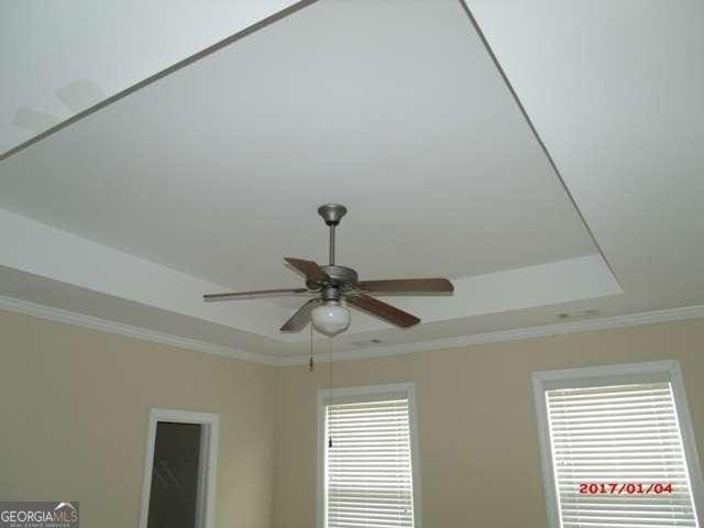 interior details featuring a ceiling fan, a raised ceiling, and crown molding