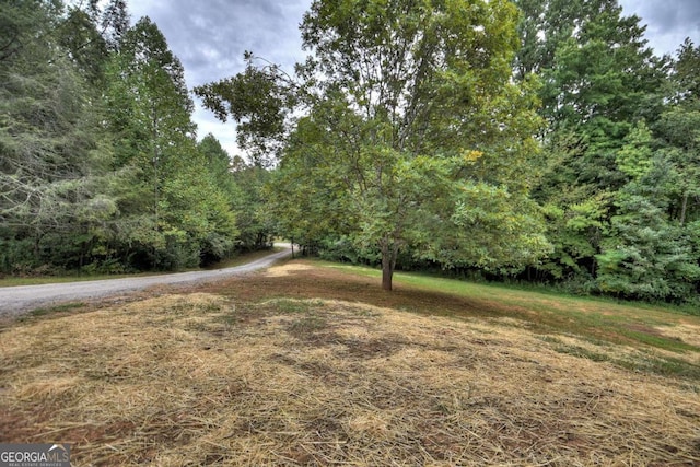 2634 Mountain View Rd, Mccaysville, GA 30555 - view of yard featuring a wooded view