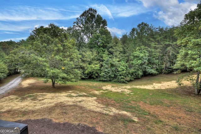2634 Mountain View Rd, Mccaysville, GA 30555 - view of yard with a view of trees