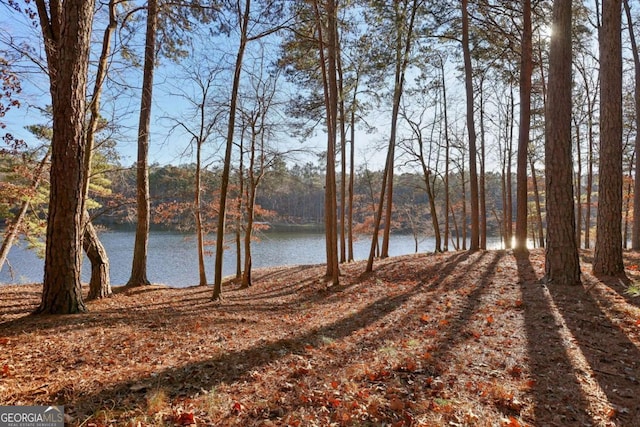 view of water feature featuring a wooded view