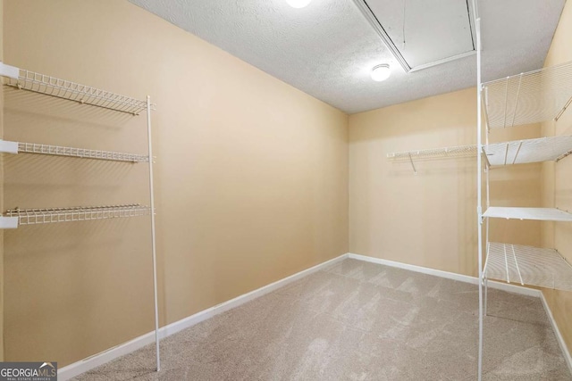 spacious closet with carpet and attic access