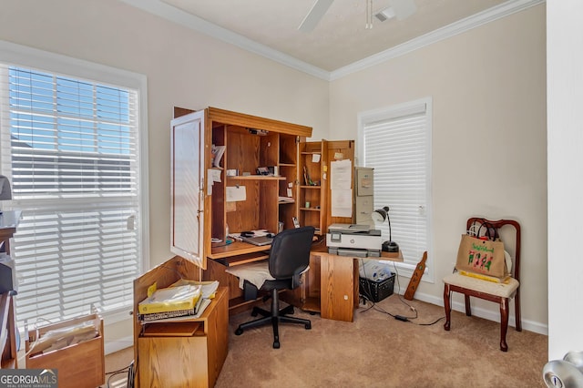 home office with visible vents, ornamental molding, carpet flooring, ceiling fan, and baseboards