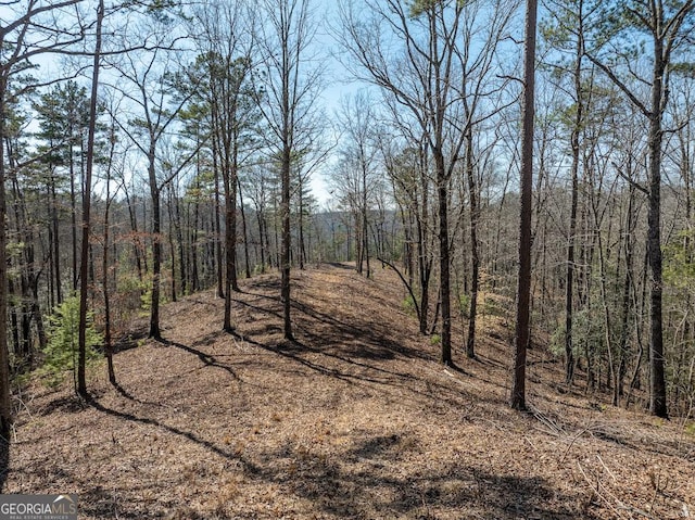 Listing photo 3 for LT134 Sundown Trl, Ellijay GA 30540