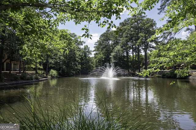 25309 Plantation Dr NE Unit 309, Atlanta, GA 30324 - water view