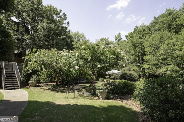 25309 Plantation Dr NE Unit 309, Atlanta, GA 30324 - view of grassy yard with stairs