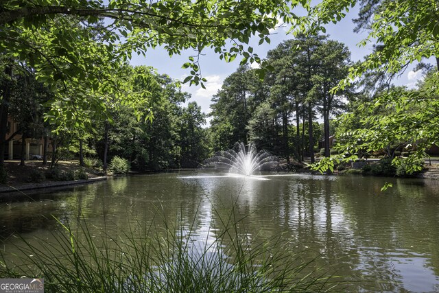 25309 Plantation Dr NE Unit 309, Atlanta, GA 30324 - water view