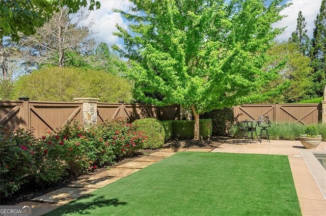 view of yard with a patio area