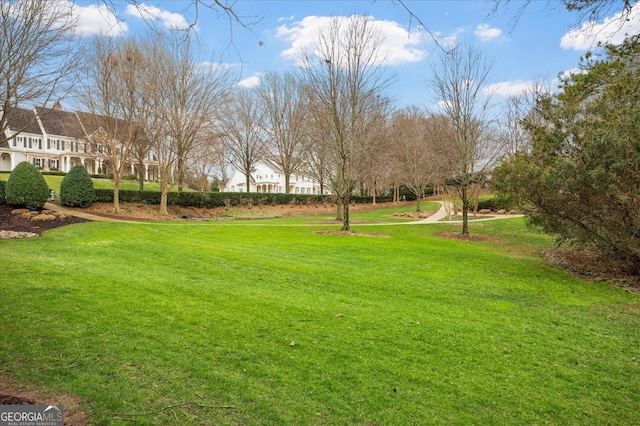 view of community featuring a yard