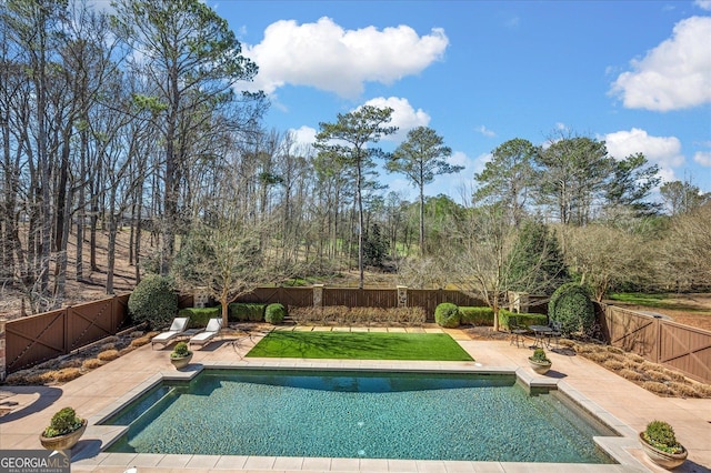 view of pool with a patio, a fenced backyard, and a fenced in pool