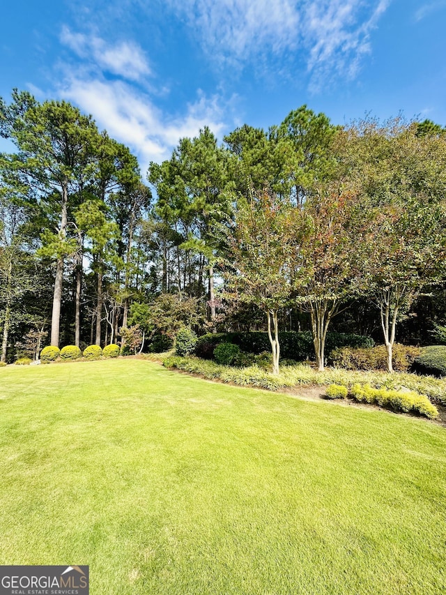 3585 Shepherds Ln, Loganville, GA 30052 - view of yard