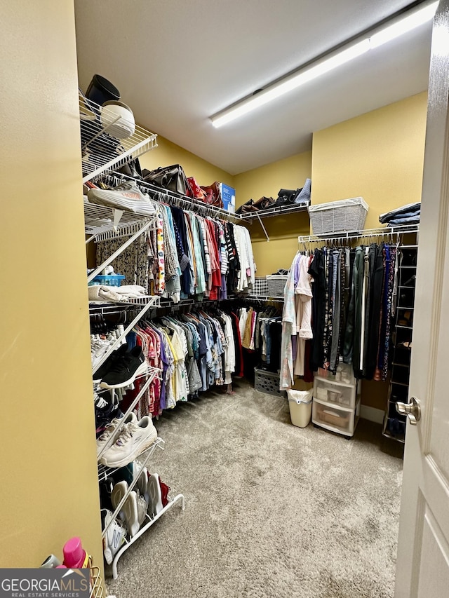 3585 Shepherds Ln, Loganville, GA 30052 - walk in closet featuring carpet floors