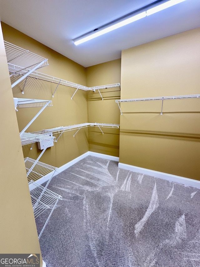 3585 Shepherds Ln, Loganville, GA 30052 - walk in closet with carpet flooring