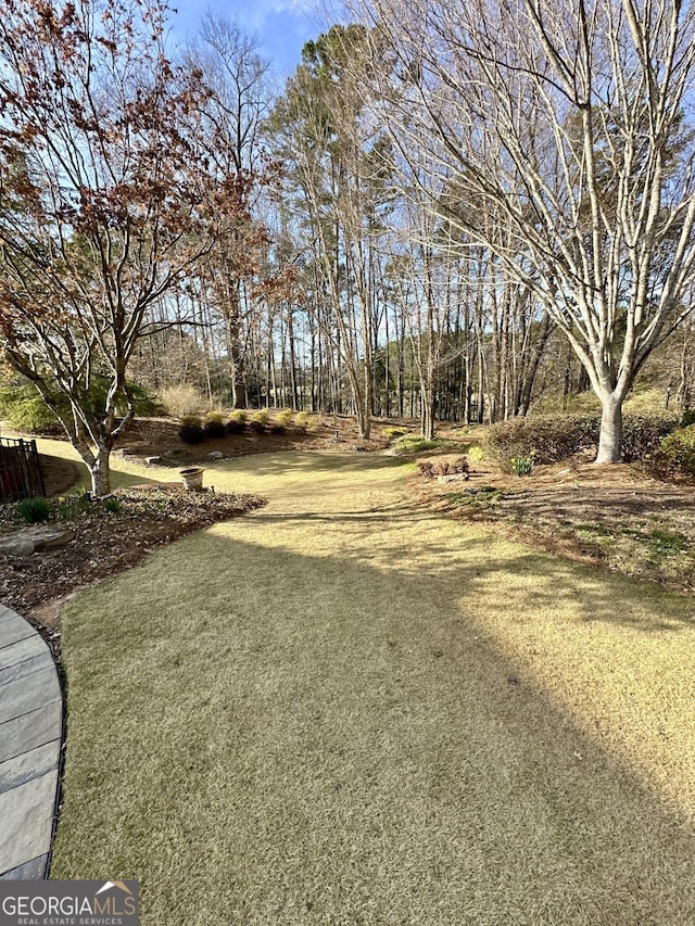 3585 Shepherds Ln, Loganville, GA 30052 - view of yard