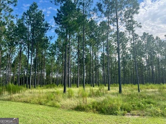 33206 Canoochee Rd, Metter GA, 30439 land for sale