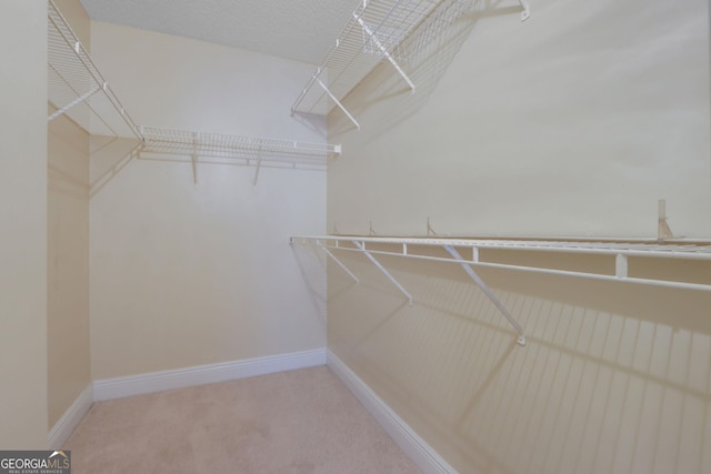 spacious closet with carpet floors