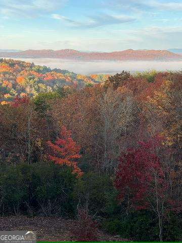 property view of mountains with a wooded view