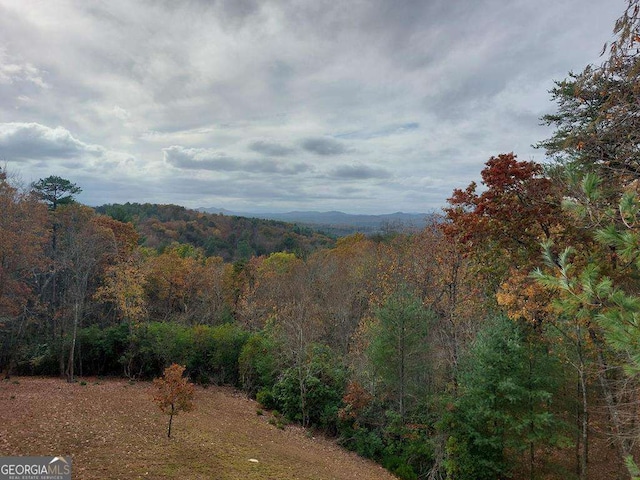 view of mountain feature with a forest view