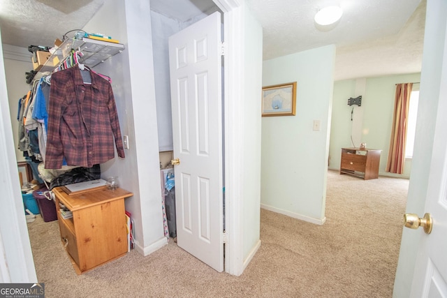 spacious closet with carpet flooring