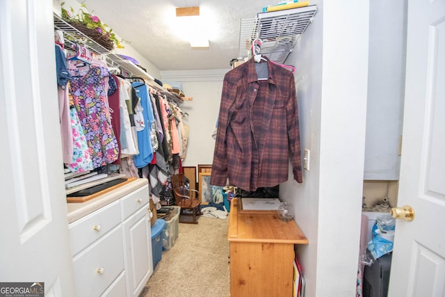 spacious closet with light colored carpet