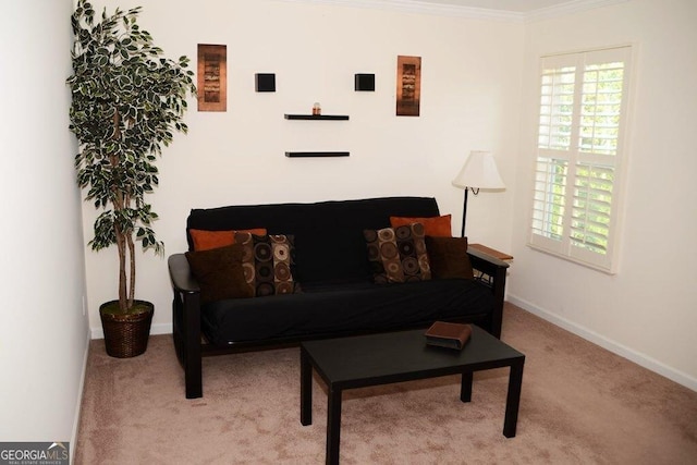 living room with plenty of natural light, carpet, and crown molding