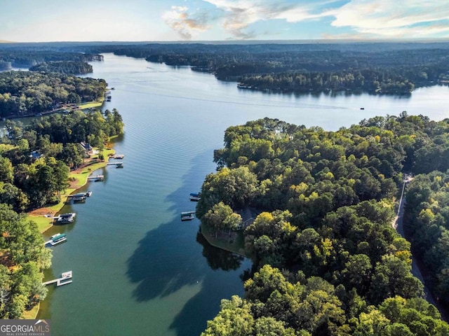 drone / aerial view with a water view and a wooded view