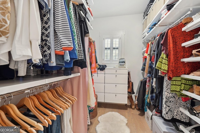 walk in closet with wood finished floors
