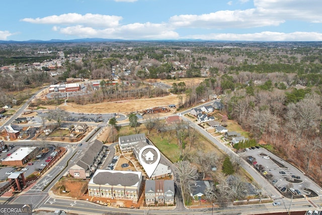 bird's eye view