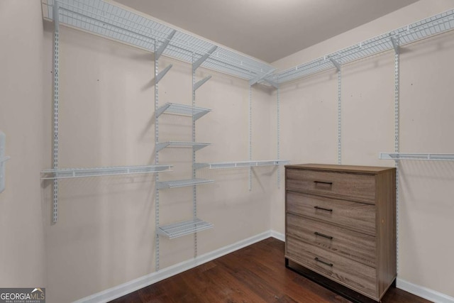 spacious closet featuring wood finished floors