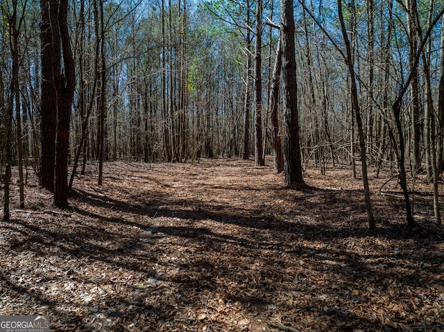 Listing photo 2 for 99ACRES Rocky Mount Rd Unit 99Acres, Greenville GA 30222