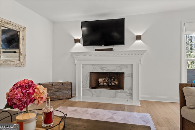 living room featuring wood finished floors, a fireplace, and baseboards