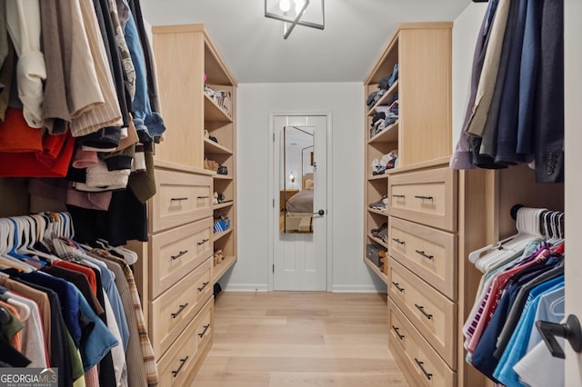 walk in closet featuring light wood-style flooring